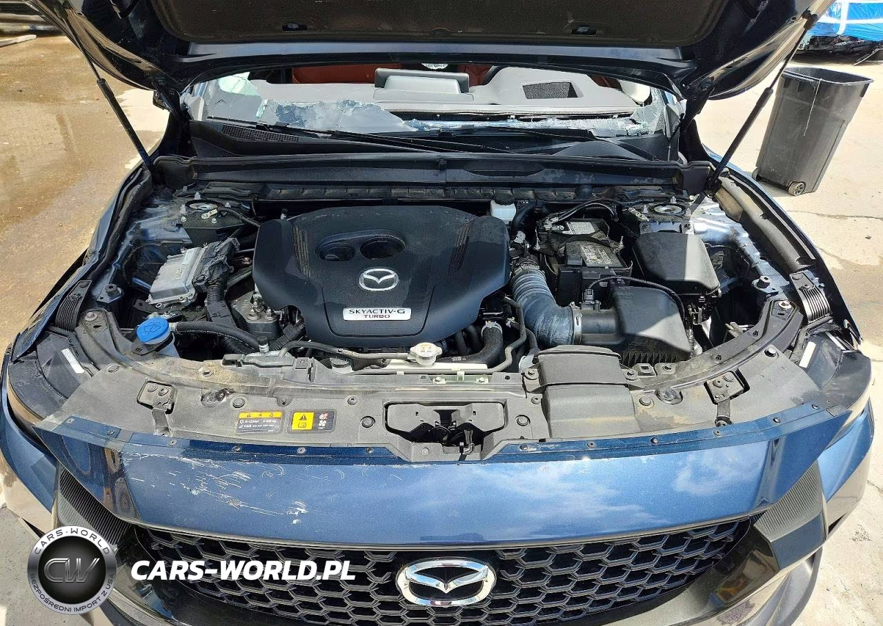 2024 Mazda Cx-50 Premium Plus VIN:7MMVABEY6RN215265 - 12