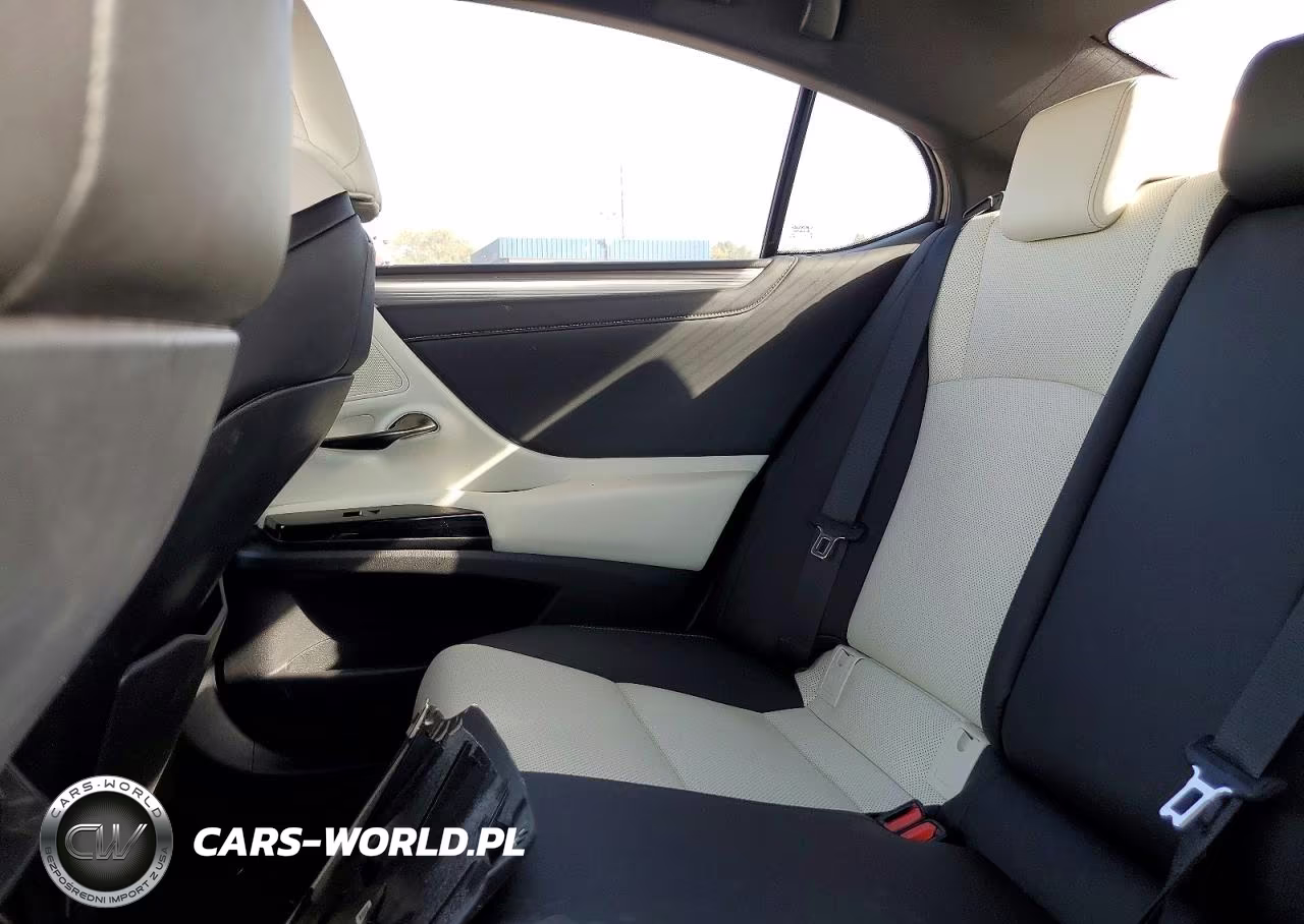2024 Lexus Es 350 F Sport Handling VIN:58AJZ1B1XRU175761 - 10