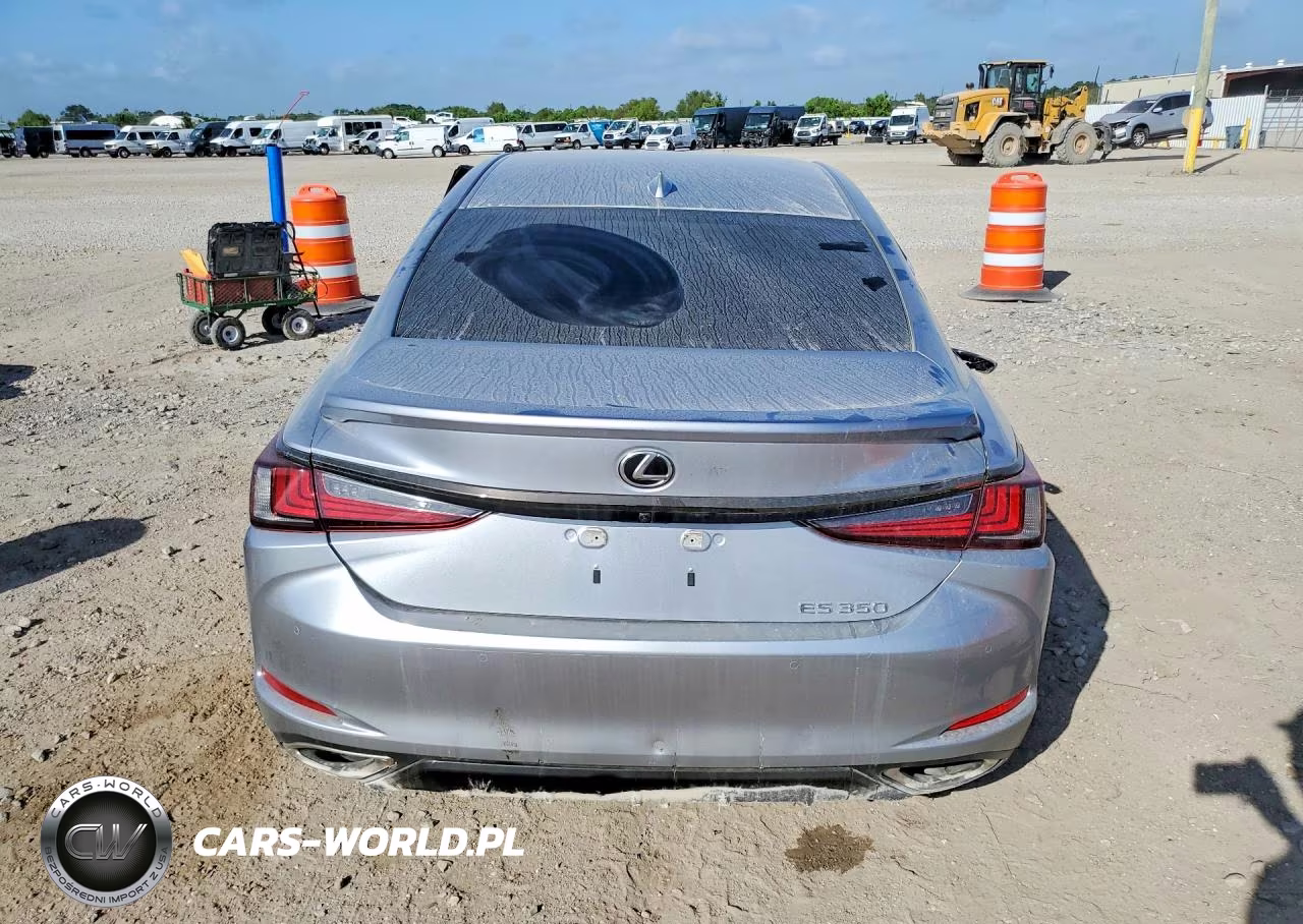 2024 Lexus Es 350 F Sport Handling VIN:58AJZ1B1XRU175761 - 6