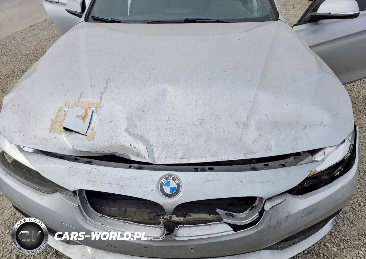 2016 BMW 320 I VIN:WBA8A9C53GK618842 - 11