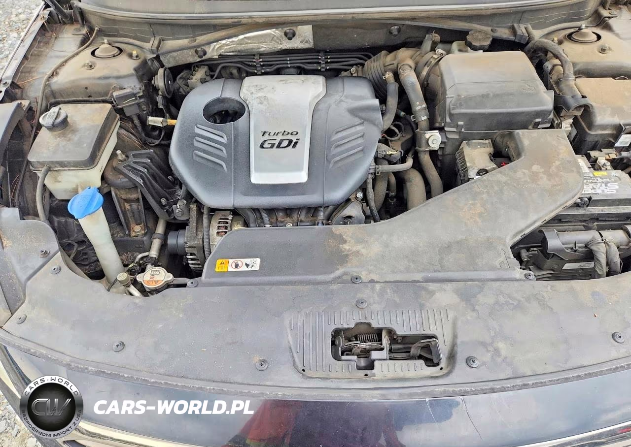 2015 Hyundai Sonata Eco VIN:5NPE24AA7FH223940 - 11