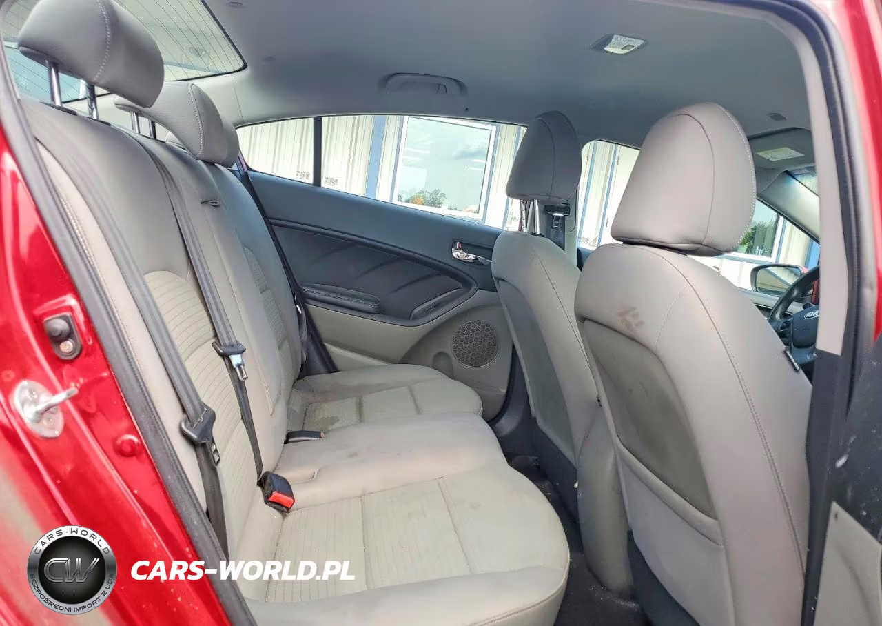 2014 Kia Forte Lx VIN:KNAFX4A63E5222815 - 10
