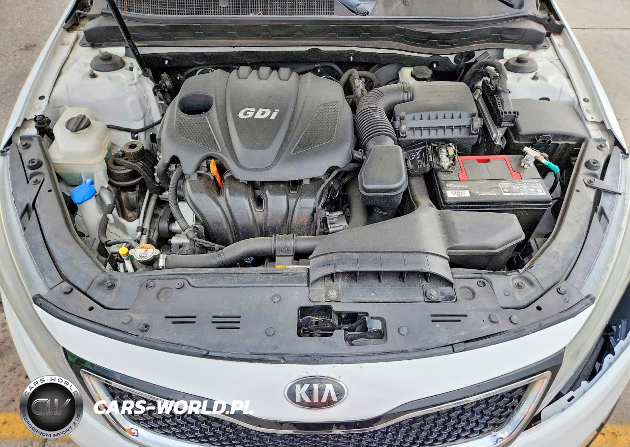 2014 Kia Optima Lx VIN:5XXGM4A70EG351437 - 11