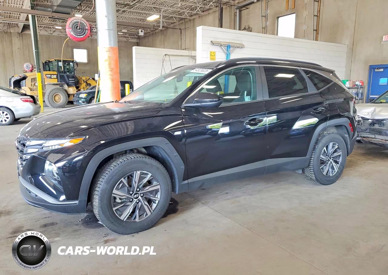 2024 Hyundai Tucson Blue