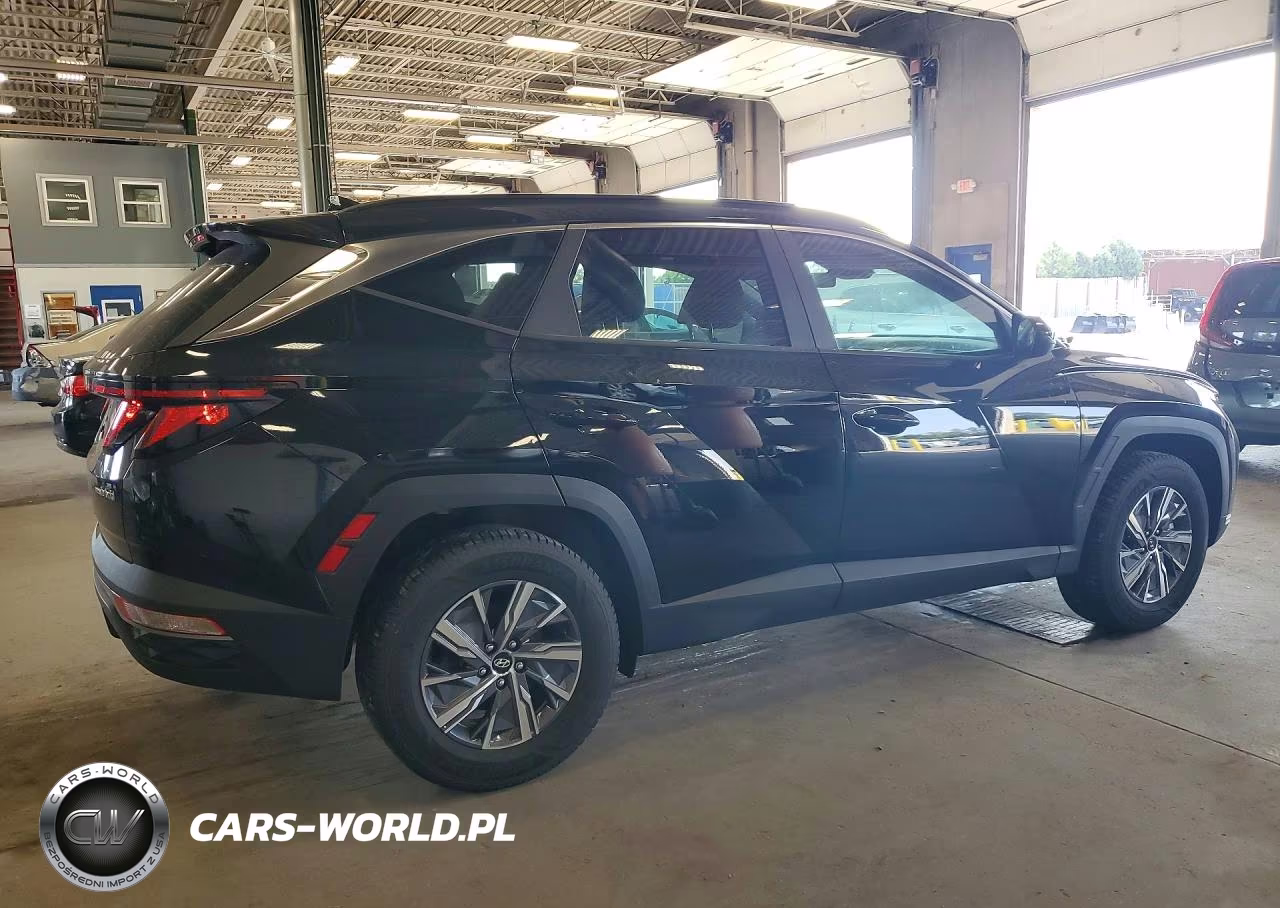 2024 Hyundai Tucson Blue VIN:KM8JBCD13RU241443 - 3