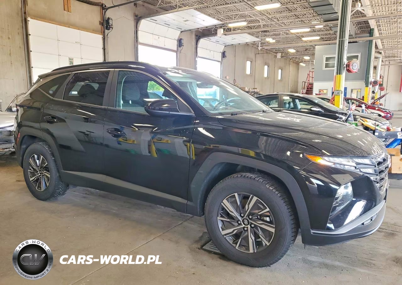 2024 Hyundai Tucson Blue VIN:KM8JBCD13RU241443 - 4
