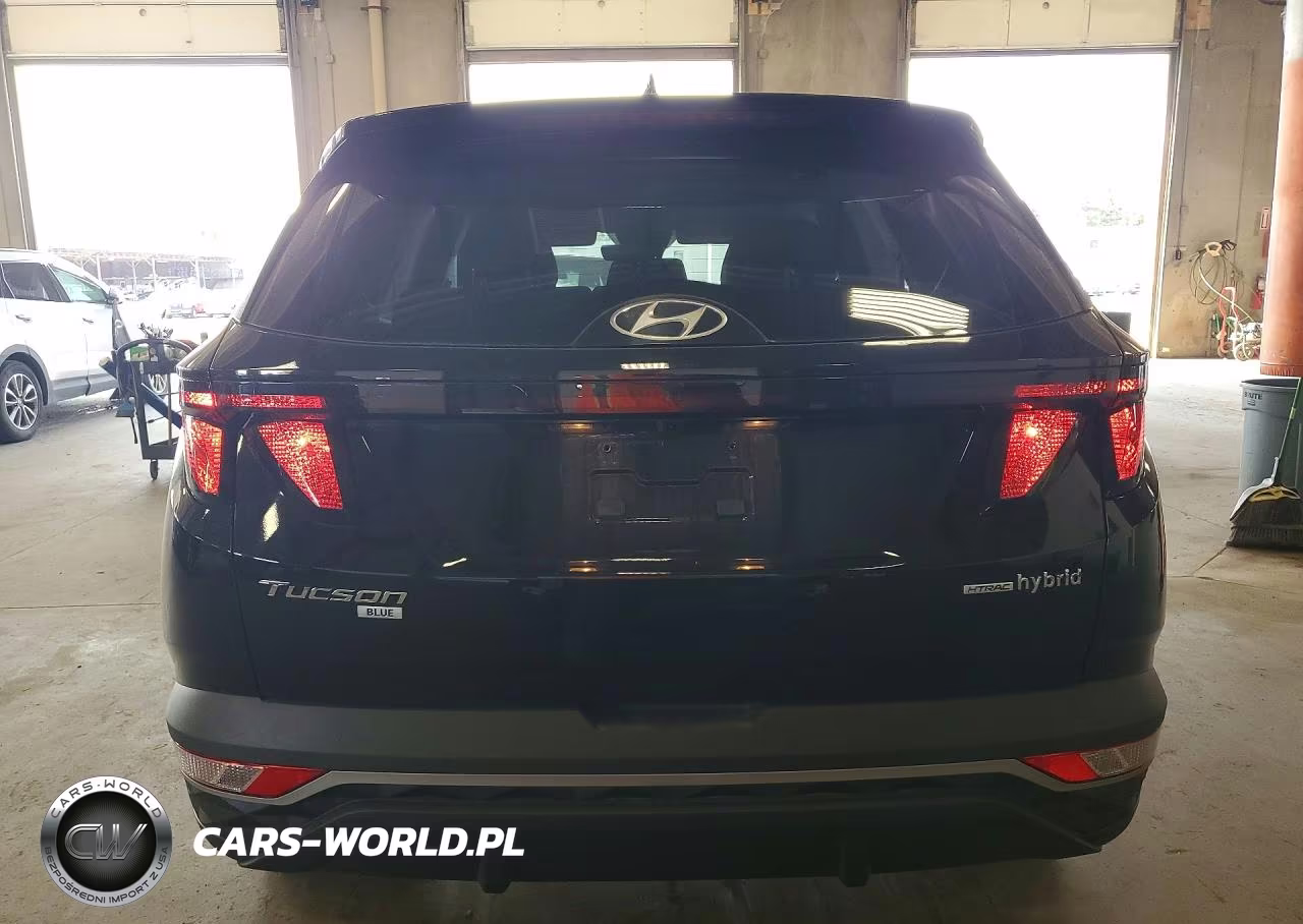 2024 Hyundai Tucson Blue VIN:KM8JBCD13RU241443 - 6