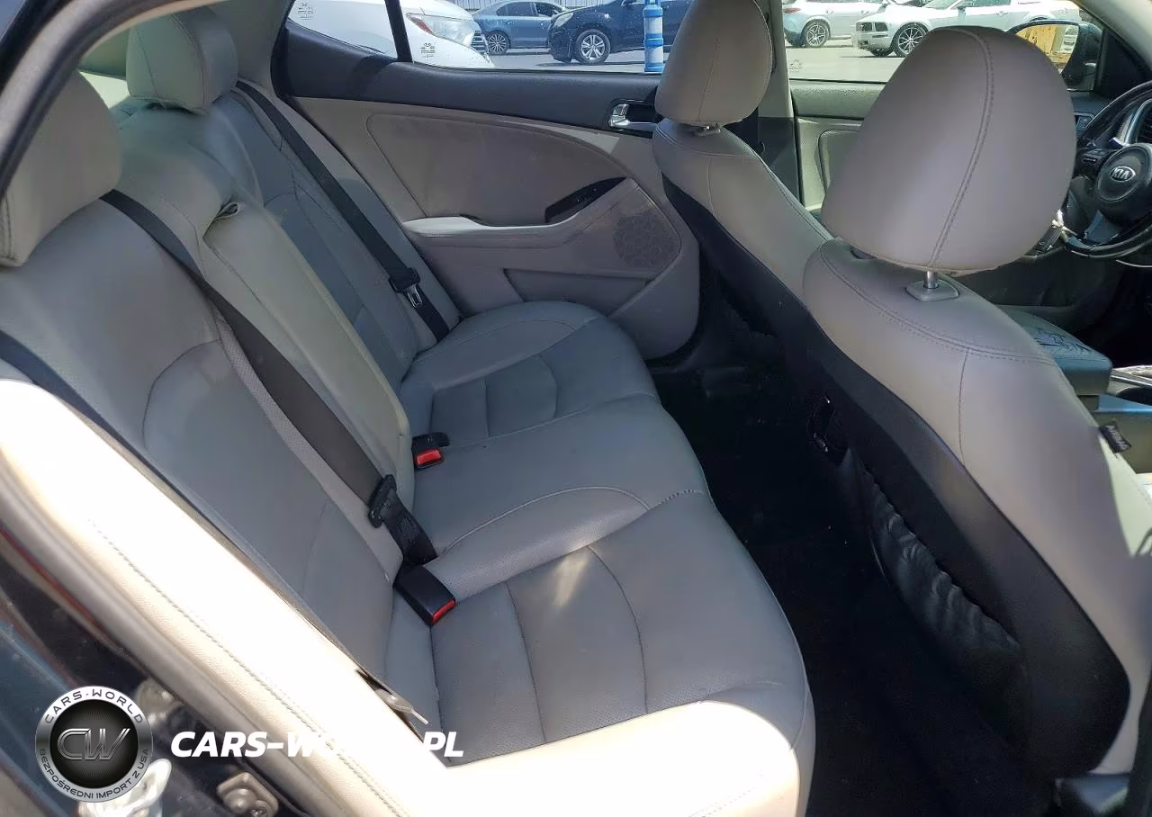 2015 Kia Optima Ex VIN:5XXGN4A7XFG355252 - 10
