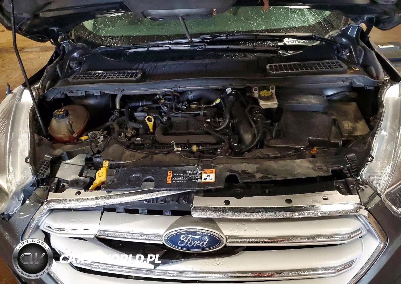 2019 Ford Escape Se VIN:1FMCU9GD1KUC01654 - 12