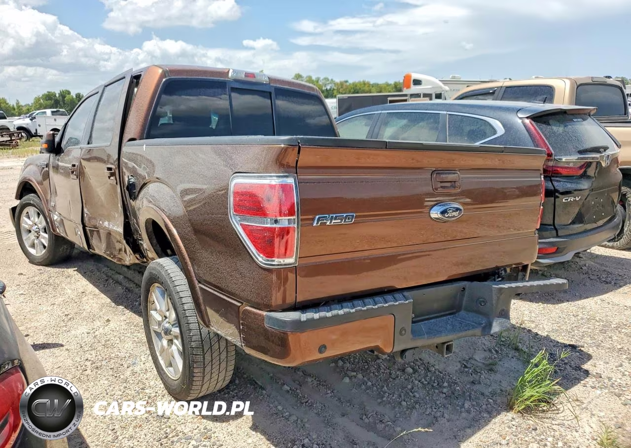 2011 Ford F150 Supercrew VIN:1FTFW1CT9BFA59729 - 2