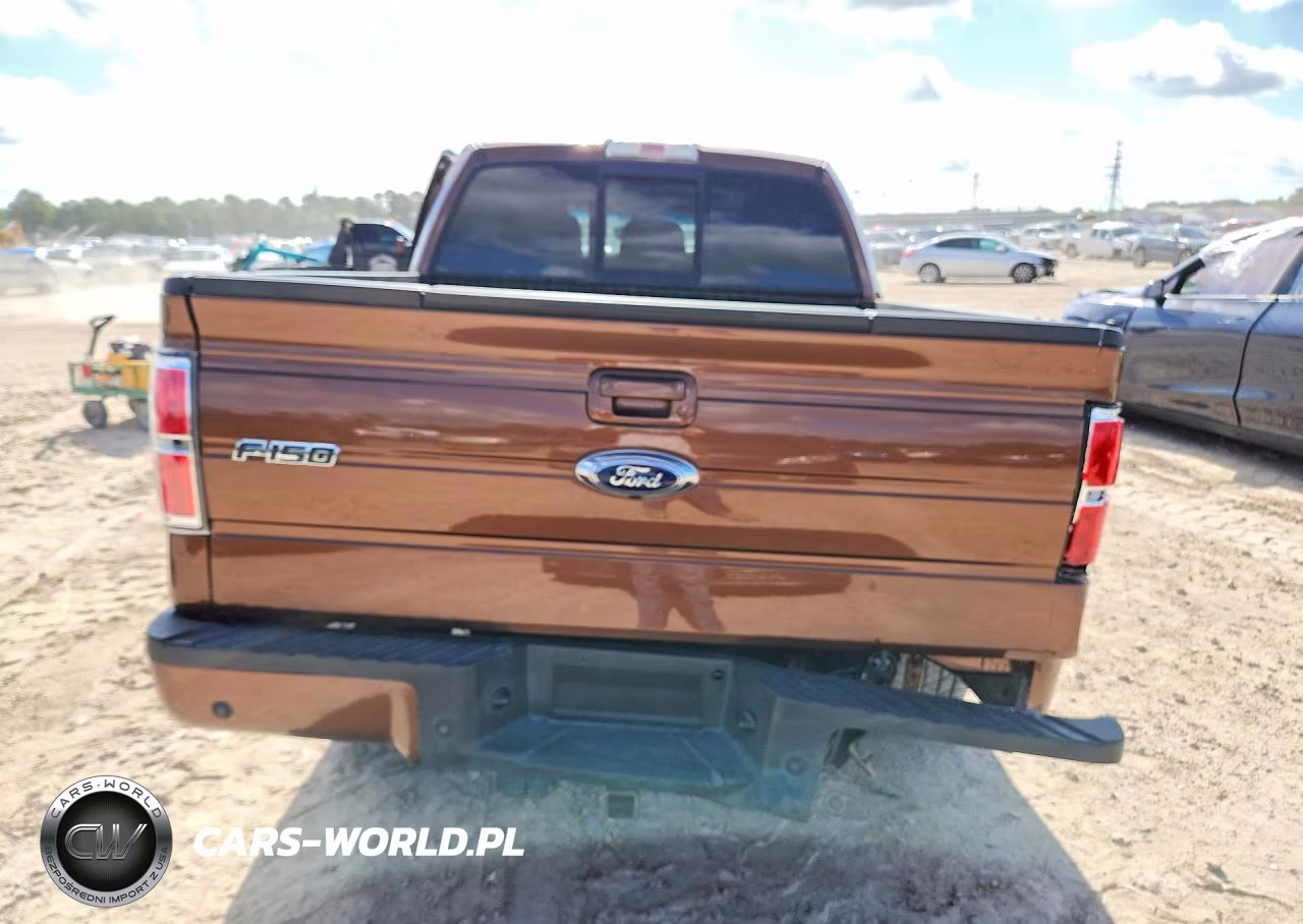2011 Ford F150 Supercrew VIN:1FTFW1CT9BFA59729 - 6