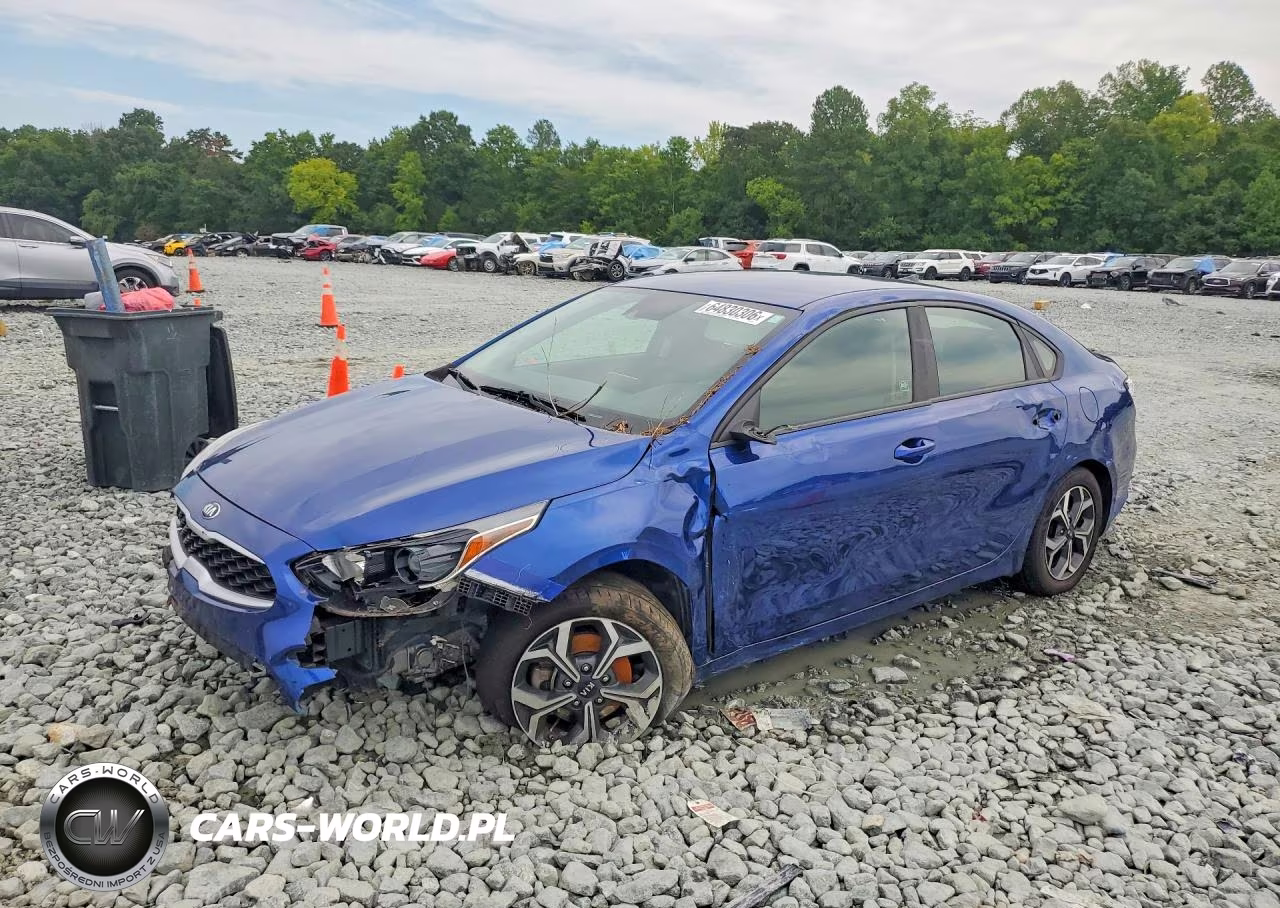 2019 Kia Forte Lxs