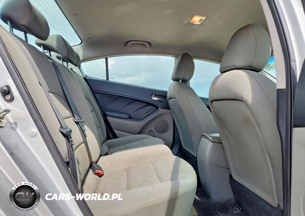 2015 Kia Forte Lx VIN:KNAFK4A64F5417323 - 10