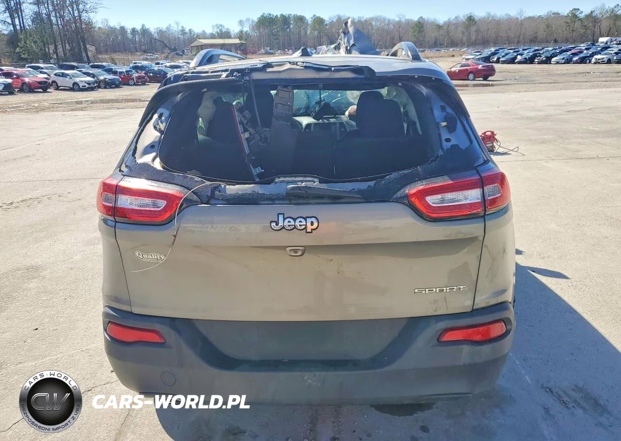 2017 Jeep Cherokee Sport VIN:1C4PJLAB4HW596333 - 6