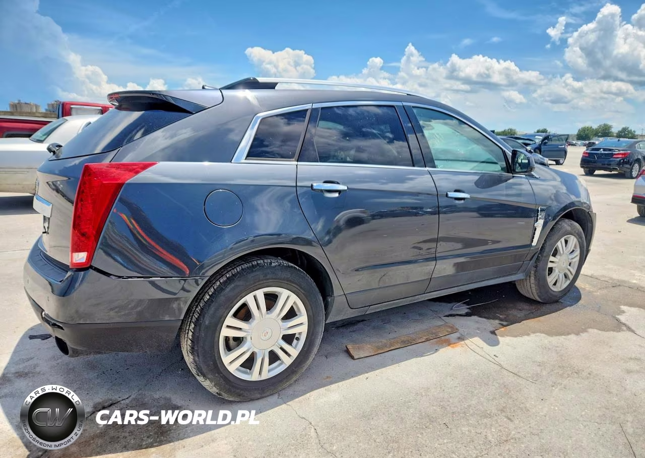 2010 Cadillac Srx Luxury Collection VIN:3GYFNAEY7AS628741 - 3
