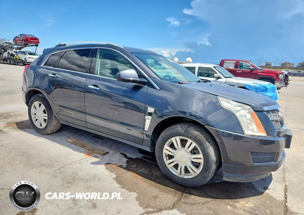 2010 Cadillac Srx Luxury Collection VIN:3GYFNAEY7AS628741 - 4