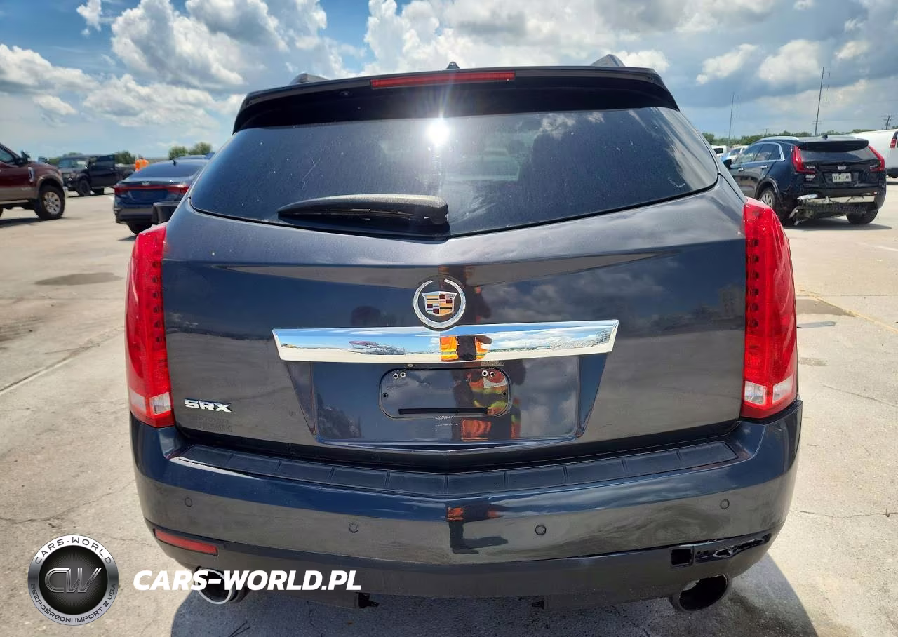 2010 Cadillac Srx Luxury Collection VIN:3GYFNAEY7AS628741 - 6