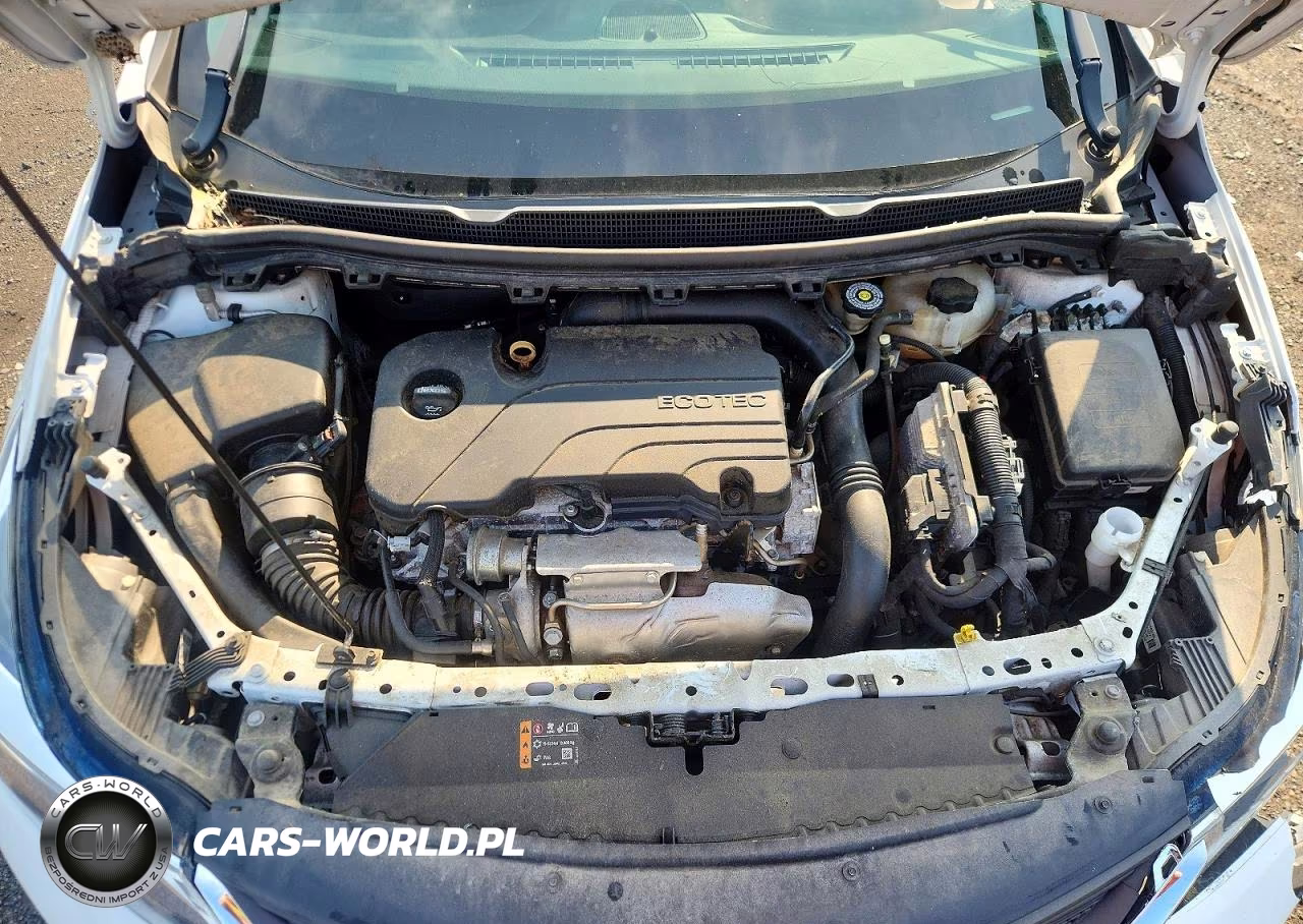 2019 Chevrolet Cruze Lt VIN:1G1BE5SM3K7119106 - 11
