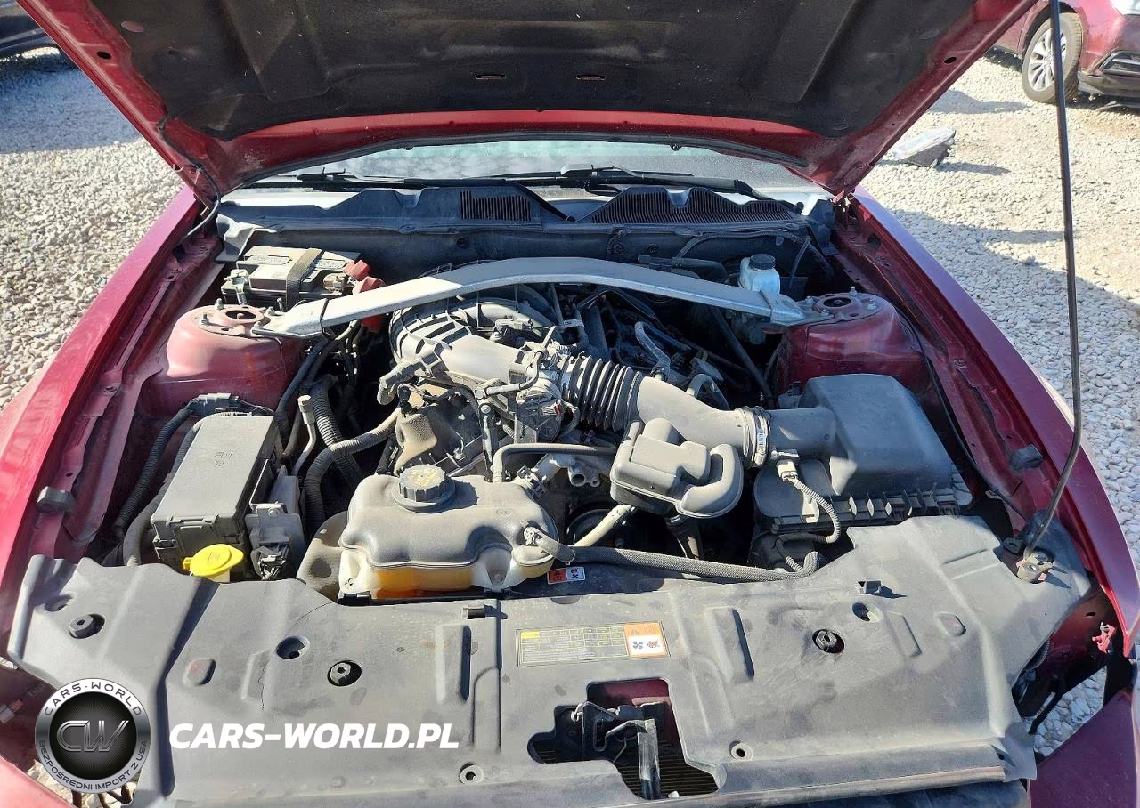 2014 Ford Mustang VIN:1ZVBP8EM6E5211077 - 11
