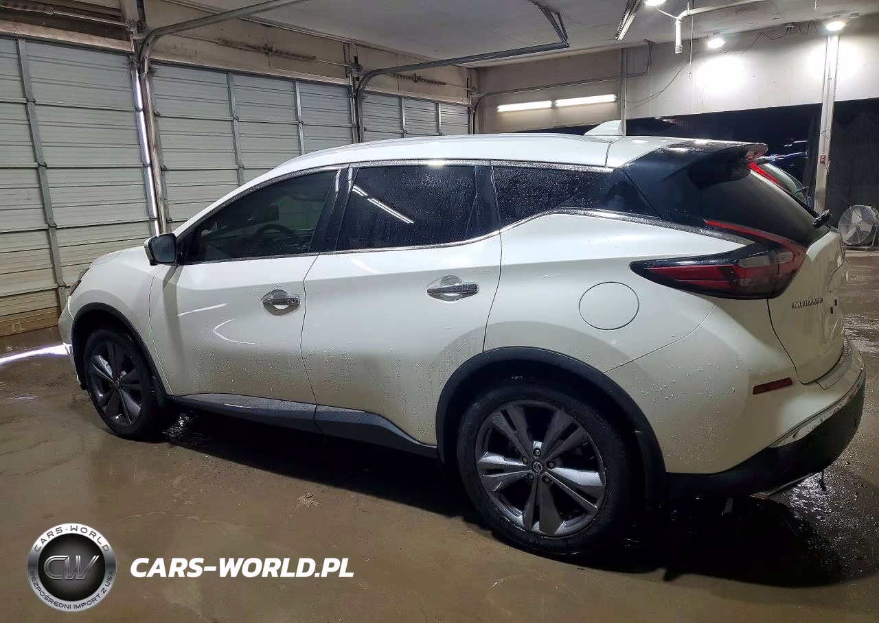 2020 Nissan Murano Platinum VIN:5N1AZ2DJXLN162830 - 2
