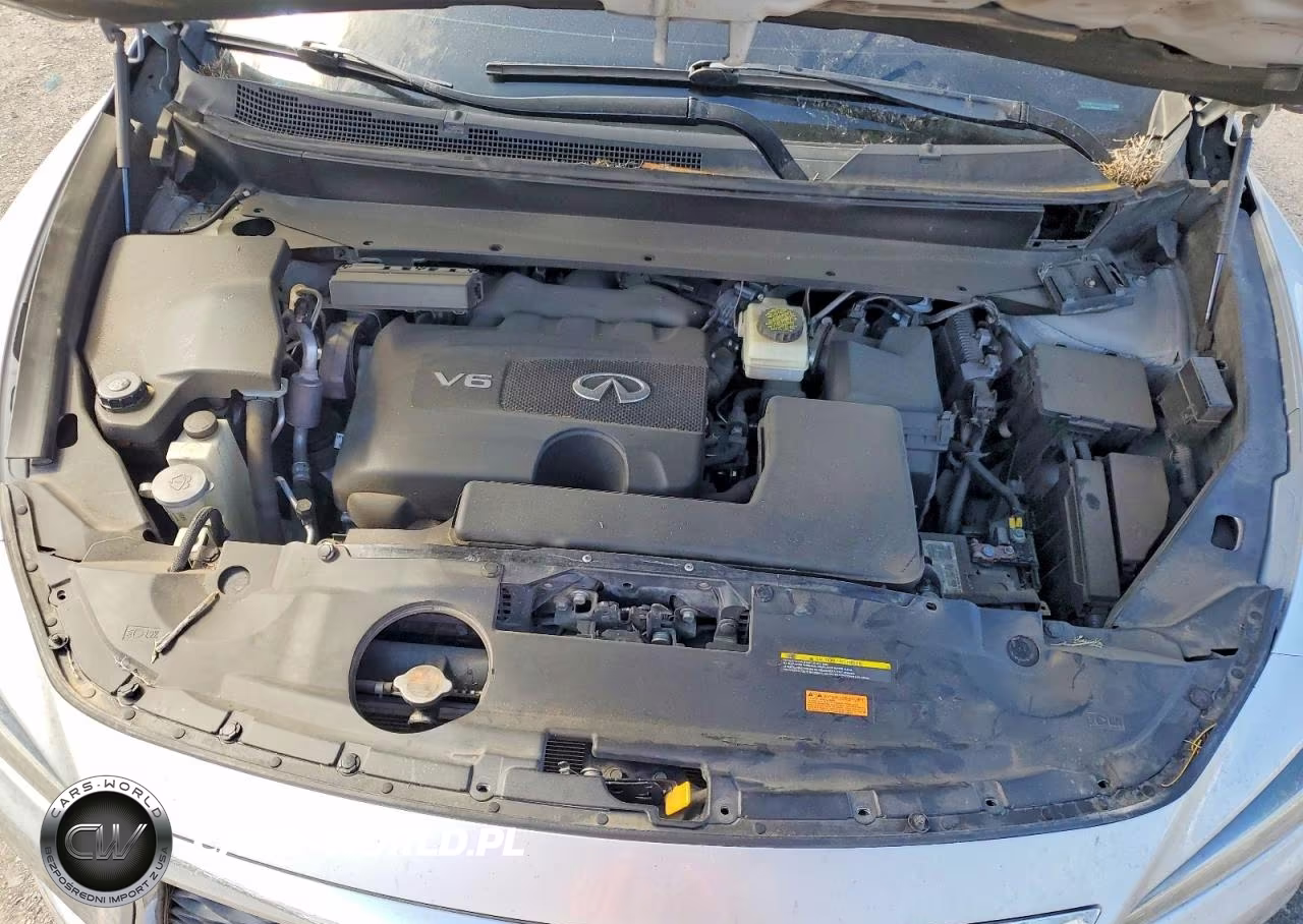 2019 Infiniti Qx60 Pure VIN:5N1DL0MN8KC562353 - 12