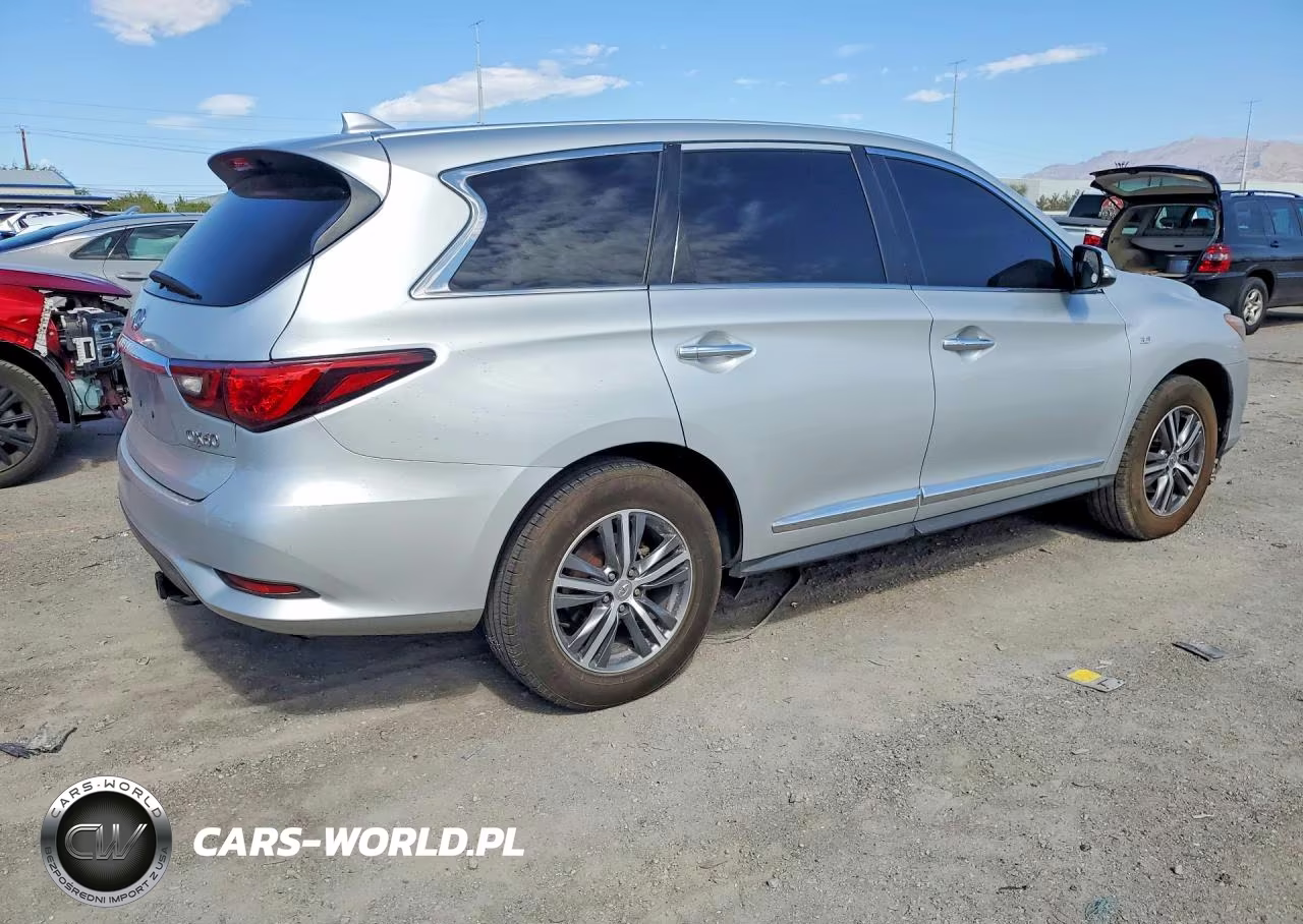 2019 Infiniti Qx60 Pure VIN:5N1DL0MN8KC562353 - 3