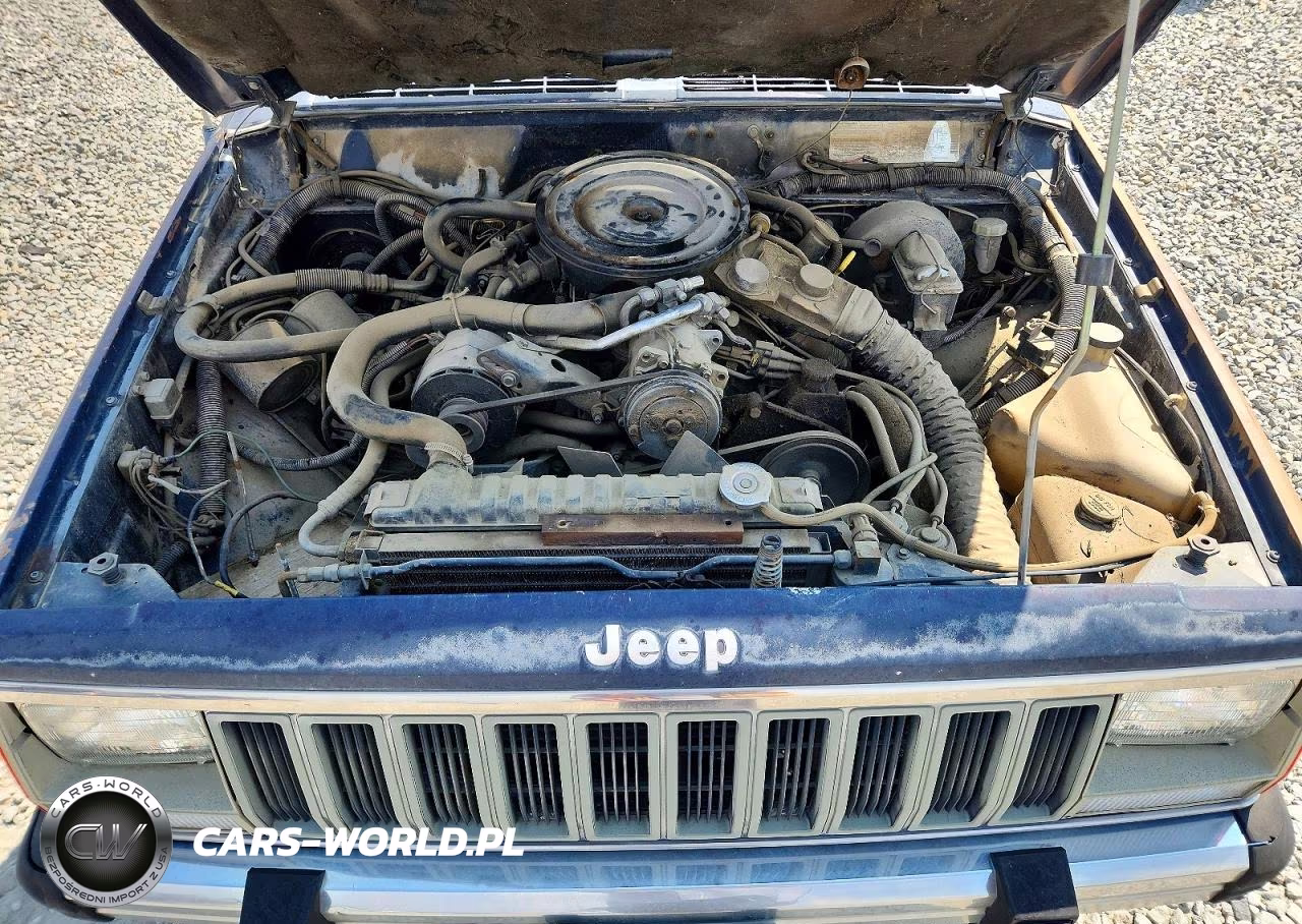 1984 Jeep Cherokee VIN:1JCWL782XET109084 - 12