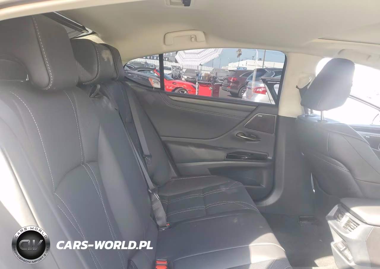 2025 Lexus Es 300H Luxury VIN:58AEA1C13SU076597 - 10