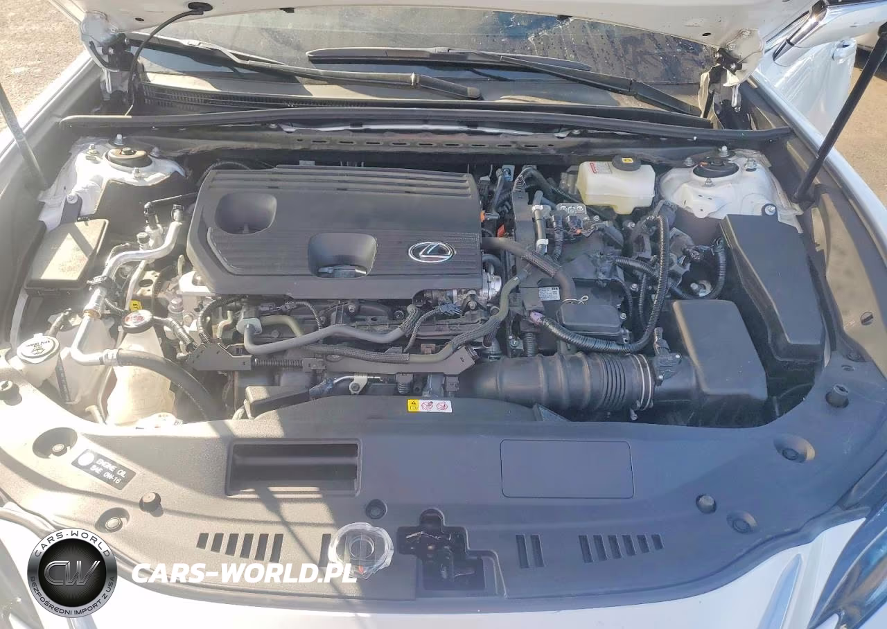 2025 Lexus Es 300H Luxury VIN:58AEA1C13SU076597 - 11