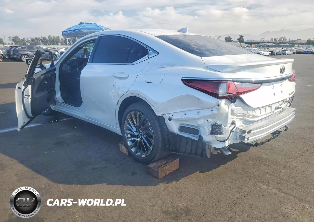 2025 Lexus Es 300H Luxury VIN:58AEA1C13SU076597 - 2