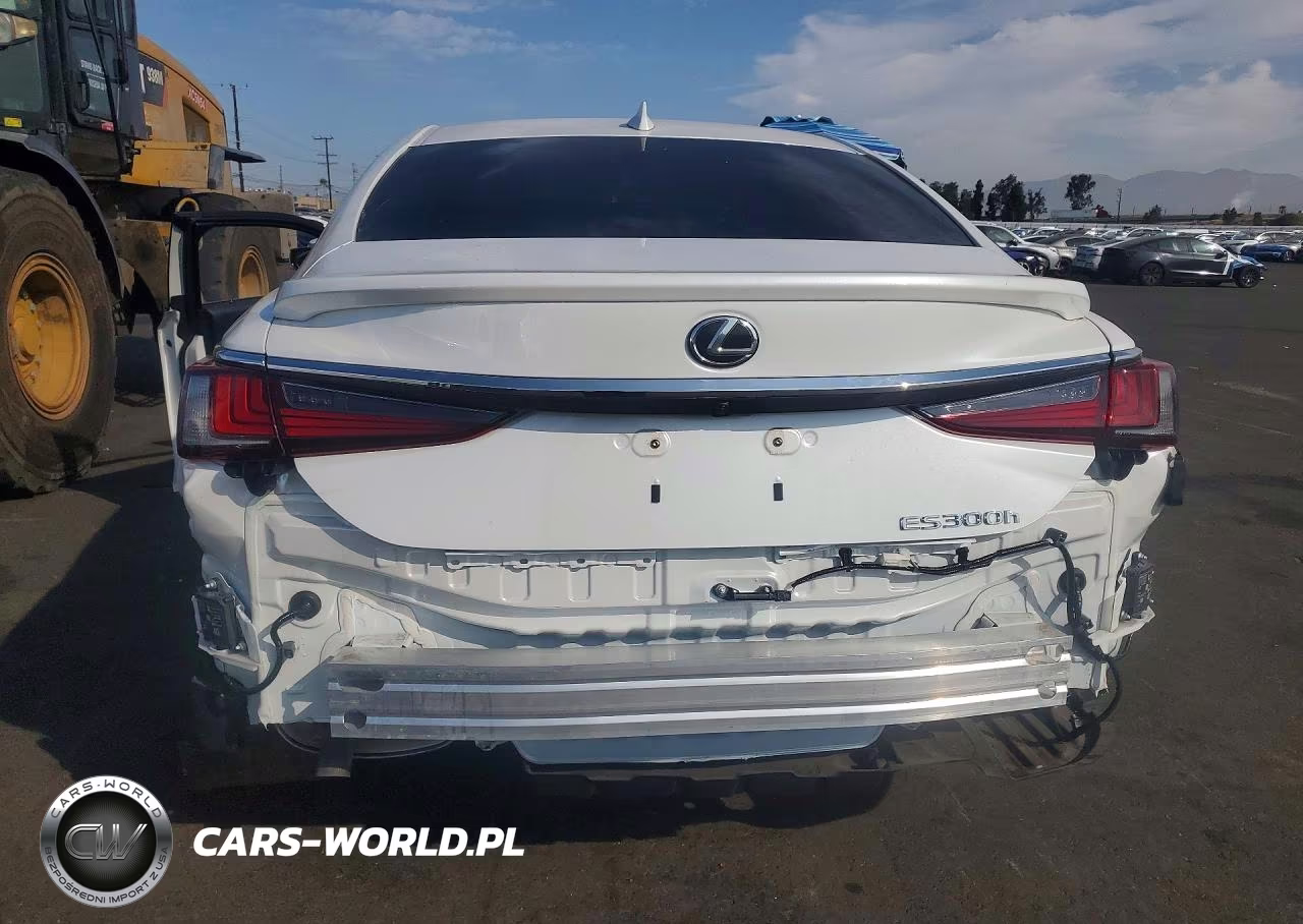 2025 Lexus Es 300H Luxury VIN:58AEA1C13SU076597 - 6