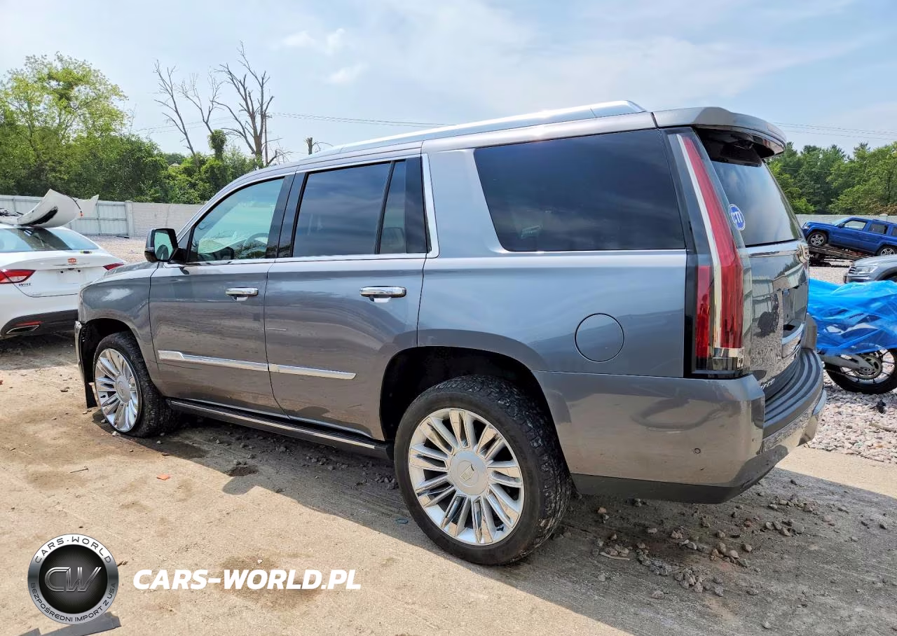 2018 Cadillac Escalade Platinum VIN:1GYS4DKJ8JR338229 - 2