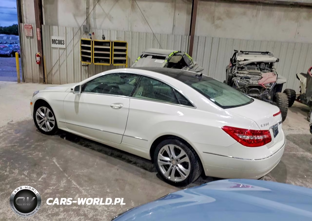 2010 Mercedes-Benz E 350 VIN:WDDKJ5GB7AF005307 - 2