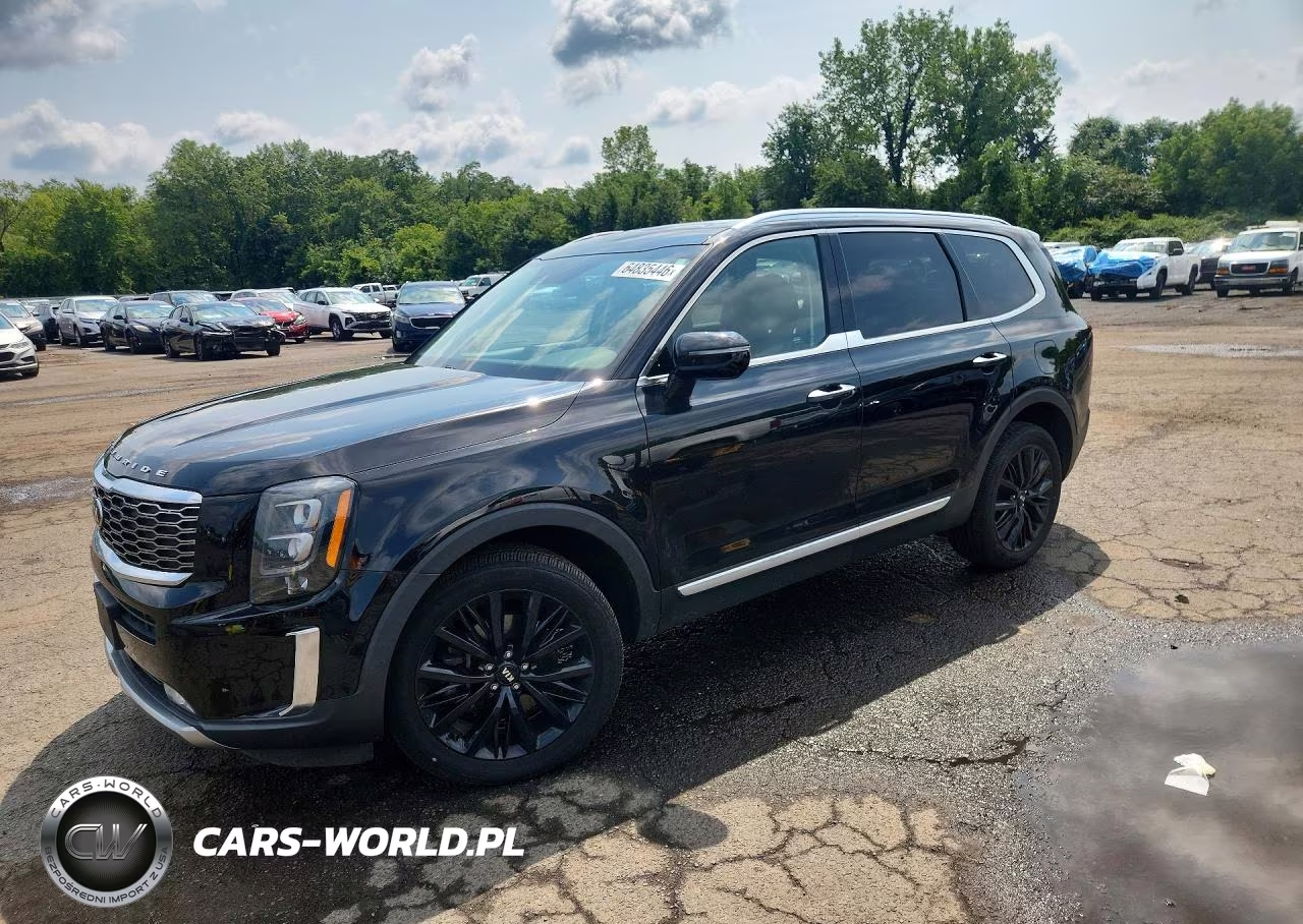 2020 Kia Telluride Sx VIN:5XYP5DHC3LG076235 - 1