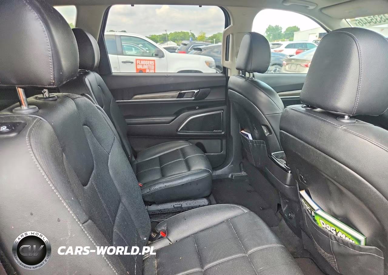 2020 Kia Telluride Sx VIN:5XYP5DHC3LG076235 - 11