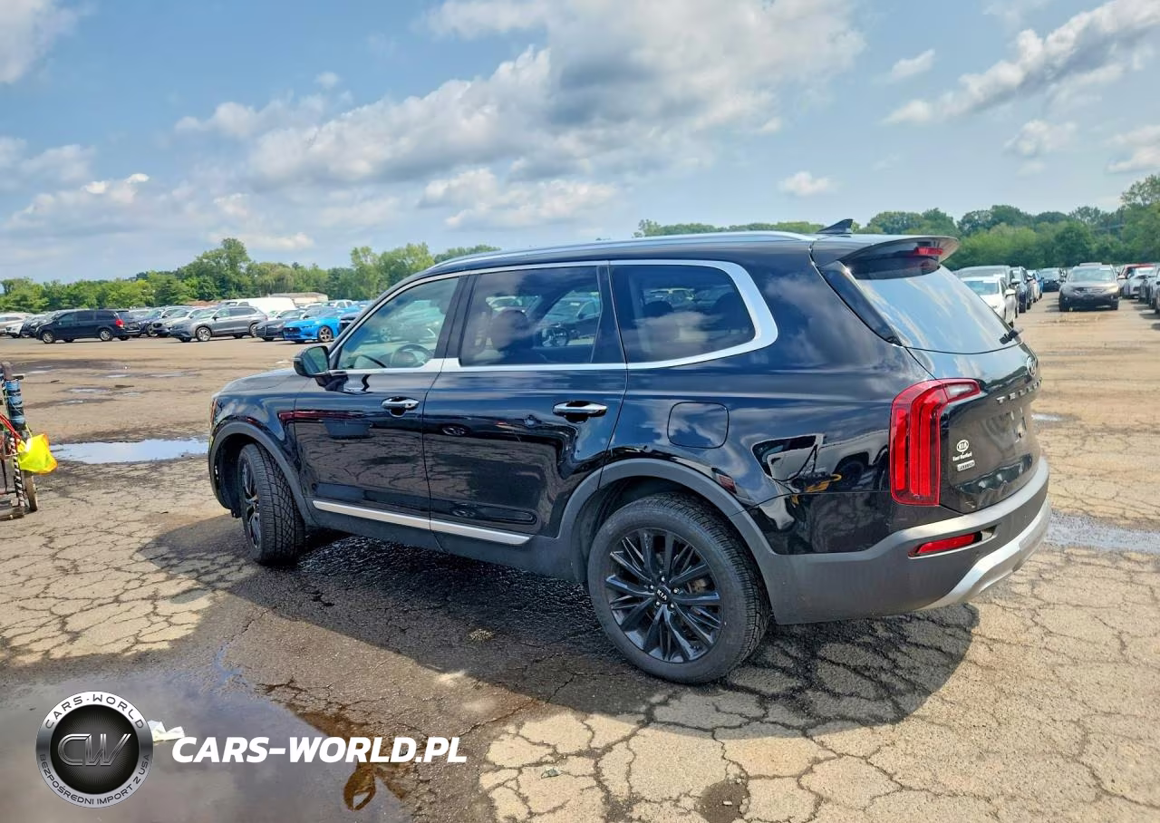 2020 Kia Telluride Sx VIN:5XYP5DHC3LG076235 - 2