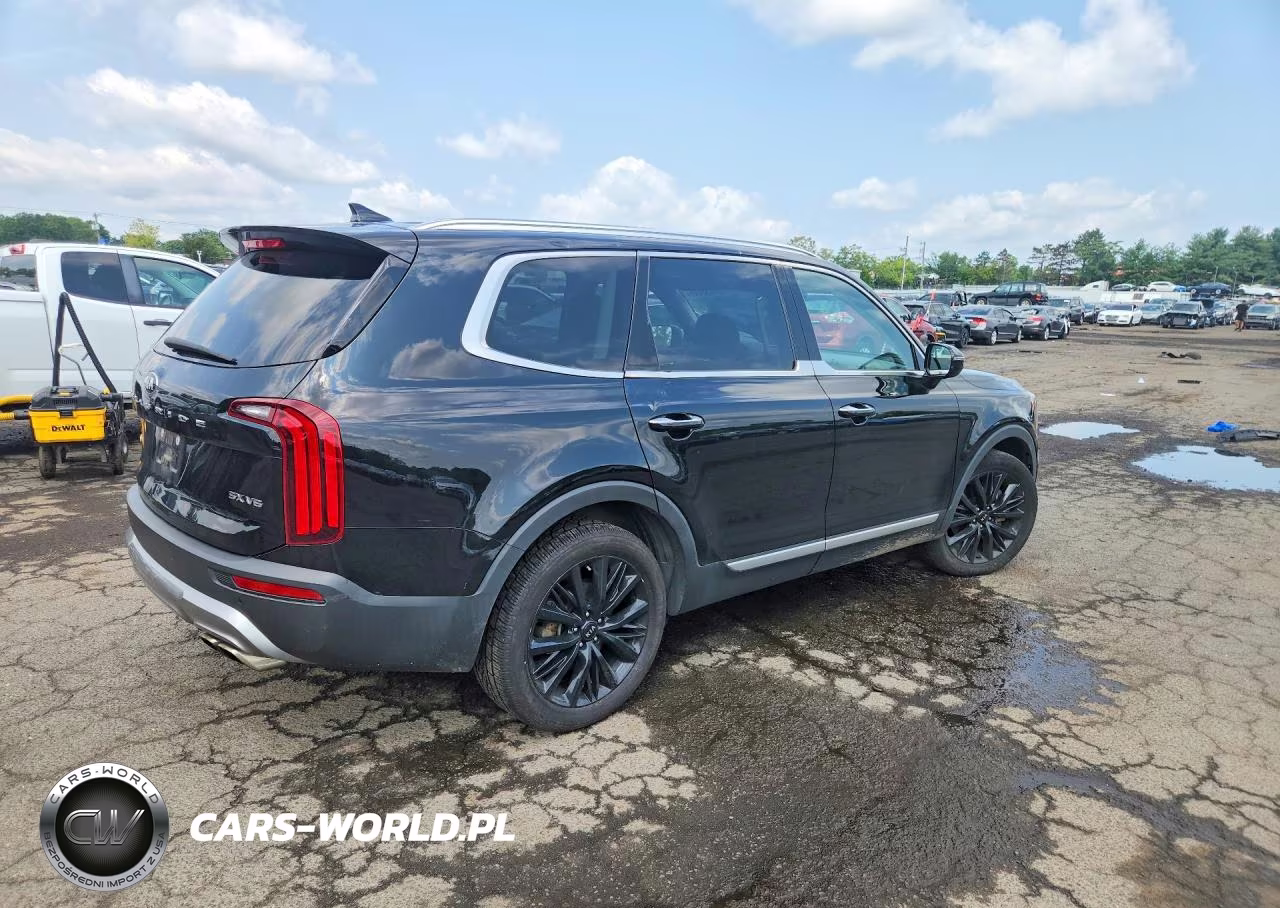 2020 Kia Telluride Sx VIN:5XYP5DHC3LG076235 - 3