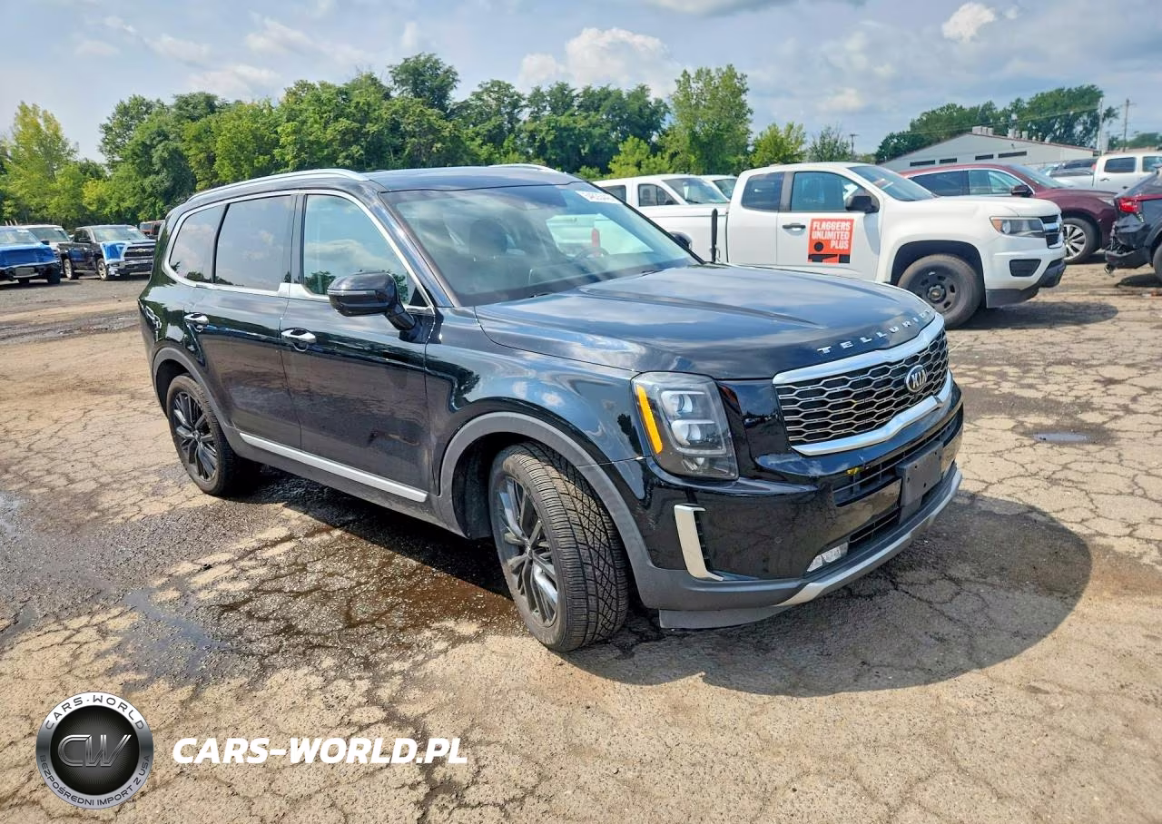 2020 Kia Telluride Sx VIN:5XYP5DHC3LG076235 - 4