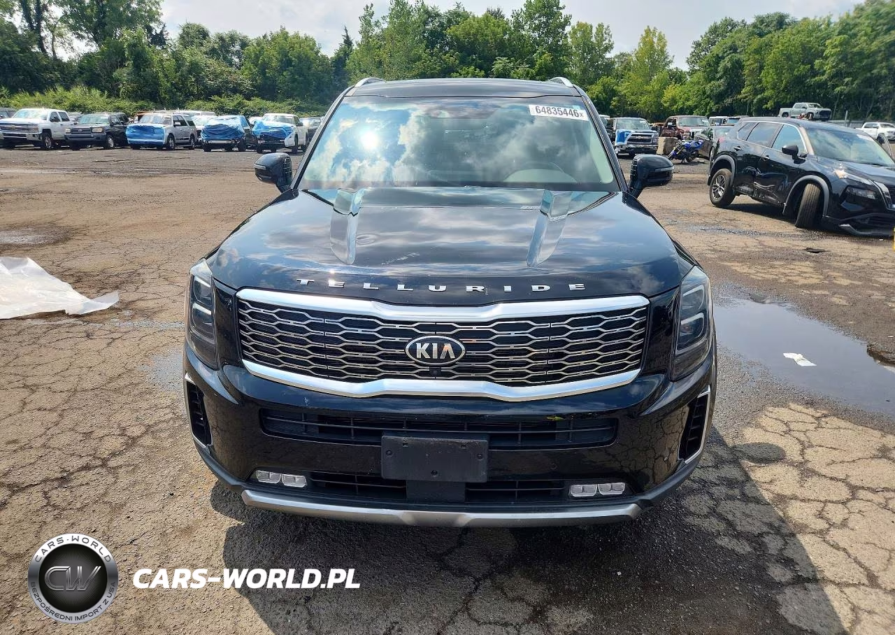 2020 Kia Telluride Sx VIN:5XYP5DHC3LG076235 - 5