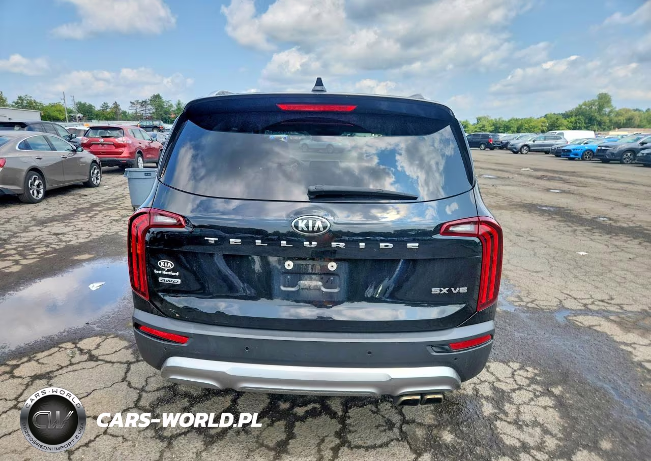 2020 Kia Telluride Sx VIN:5XYP5DHC3LG076235 - 6