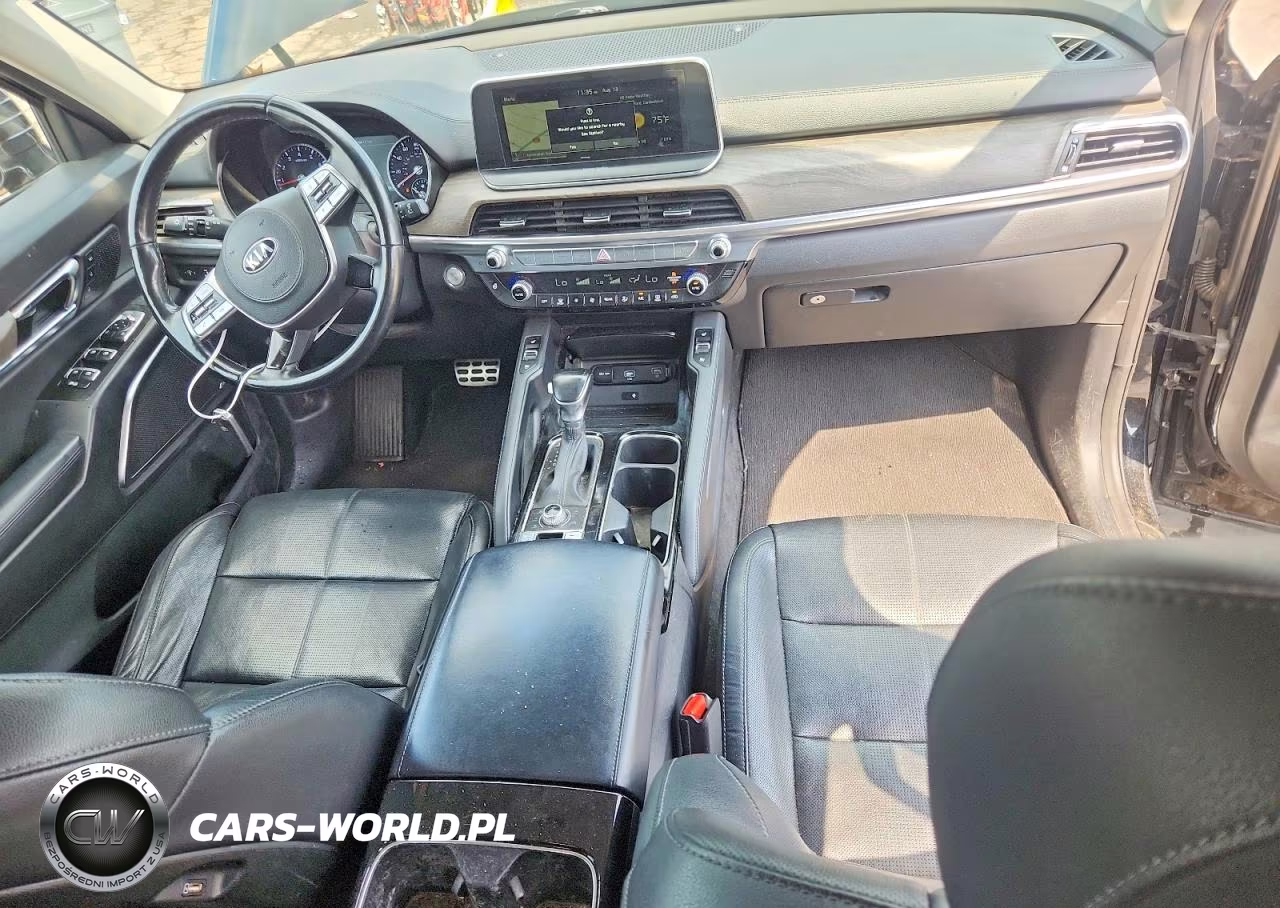 2020 Kia Telluride Sx VIN:5XYP5DHC3LG076235 - 8