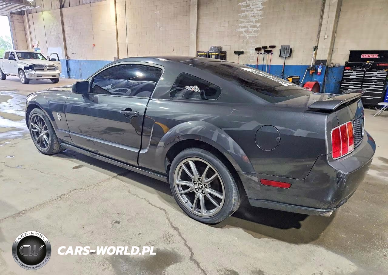 2009 Ford Mustang Gt VIN:1ZVHT82H395129973 - 2