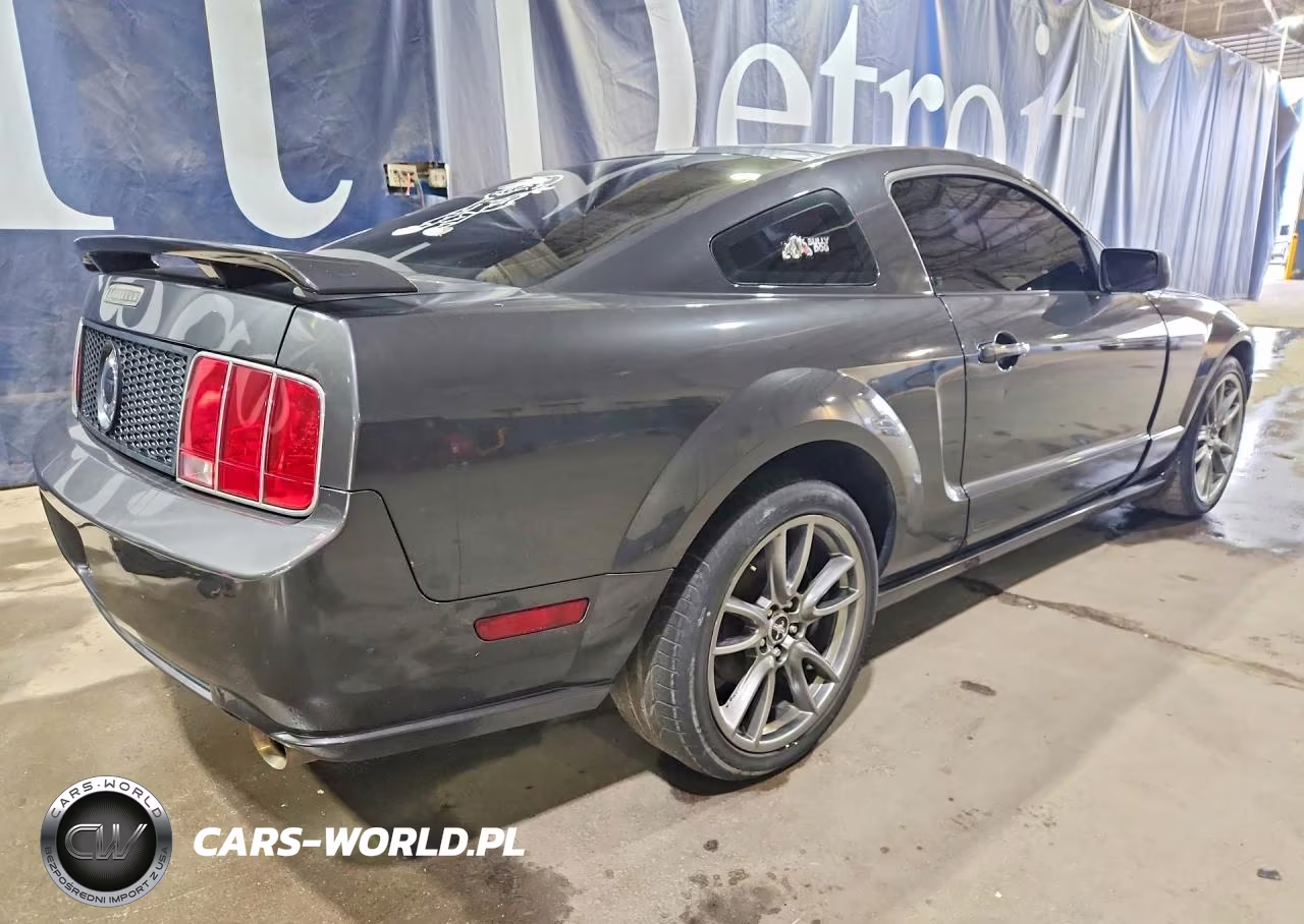 2009 Ford Mustang Gt VIN:1ZVHT82H395129973 - 3