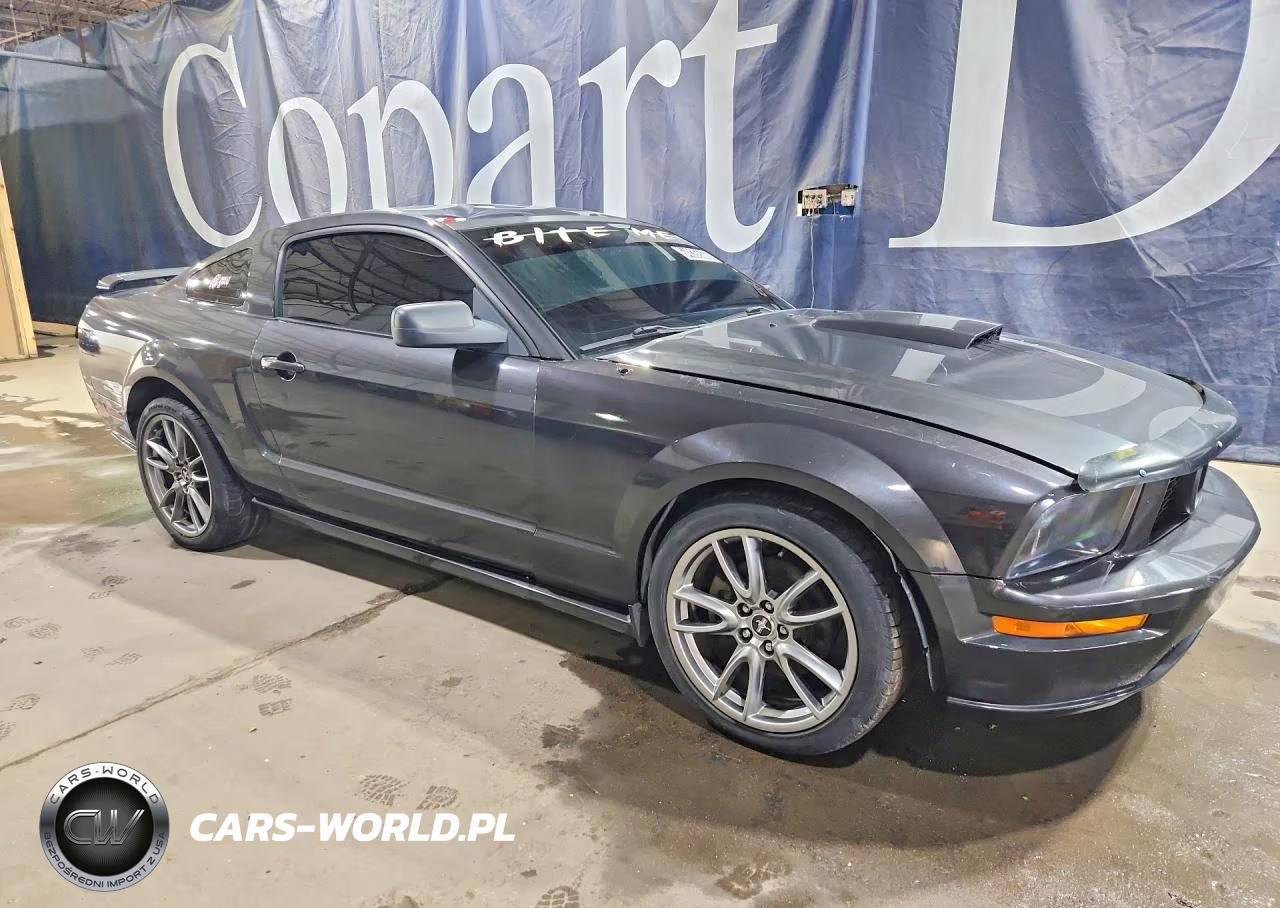 2009 Ford Mustang Gt VIN:1ZVHT82H395129973 - 4