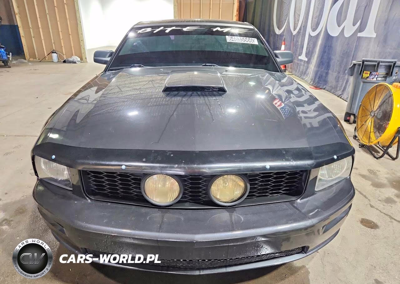2009 Ford Mustang Gt VIN:1ZVHT82H395129973 - 5