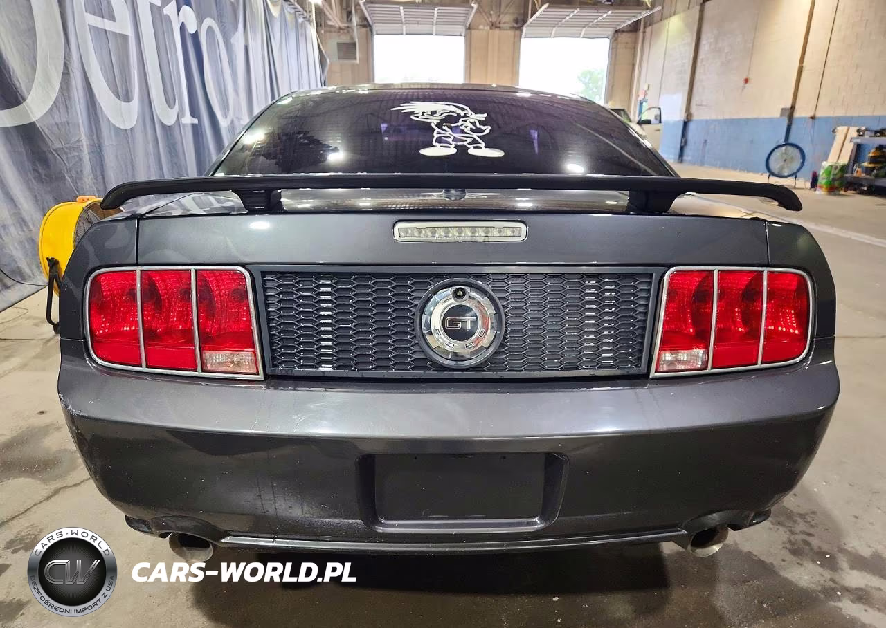 2009 Ford Mustang Gt VIN:1ZVHT82H395129973 - 6