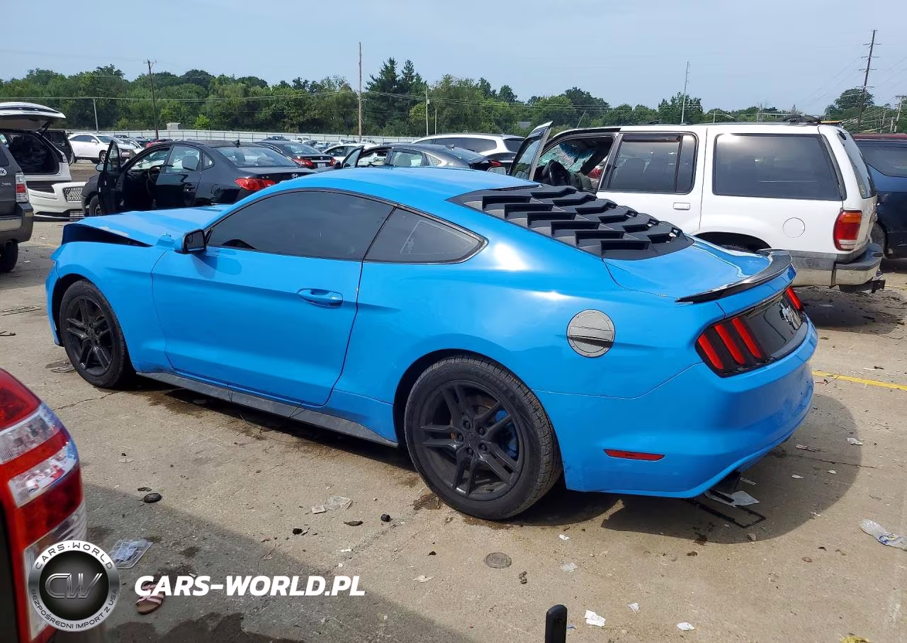 2017 Ford Mustang VIN:1FA6P8AM1H5308921 - 2