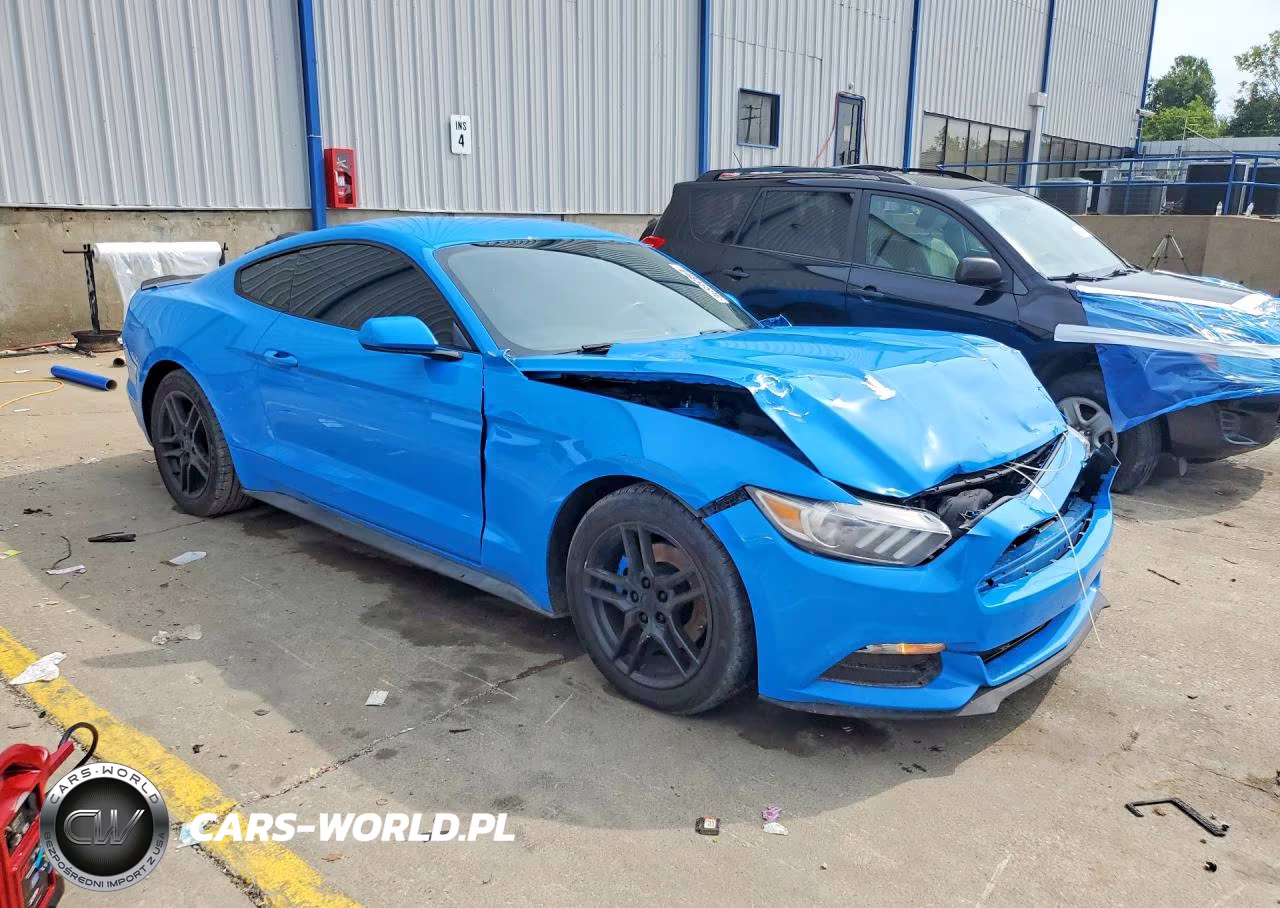 2017 Ford Mustang VIN:1FA6P8AM1H5308921 - 4