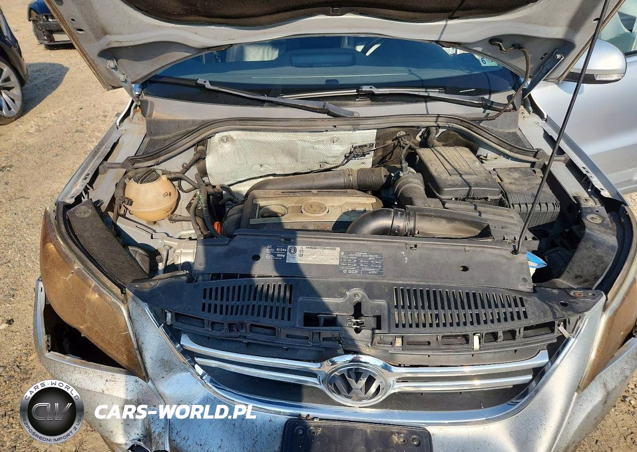 2010 Volkswagen Tiguan S VIN:WVGAV7AX5AW500725 - 12