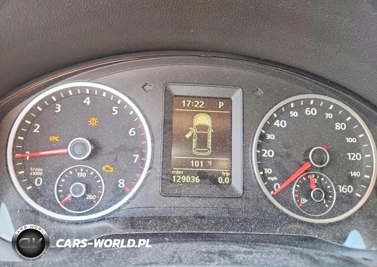 2010 Volkswagen Tiguan S VIN:WVGAV7AX5AW500725 - 9